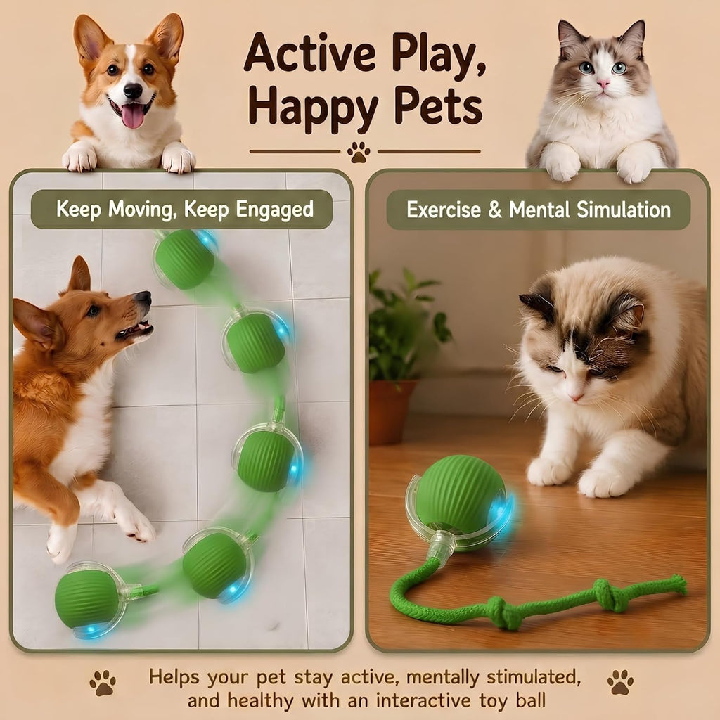 Cat & Small Dog Automatic Moving Ball 2.0 - Interactive Toy [Green]